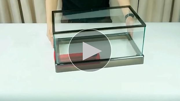 玉亀 石製 箱付き 玉亀 石製 箱付き